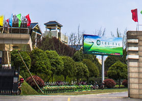 乐动体育在线_乐动(中国)
获评农业产业化国家重点龙头企业 乐动体育在线_乐动(中国)
获评农业产业化国家重点龙头企业