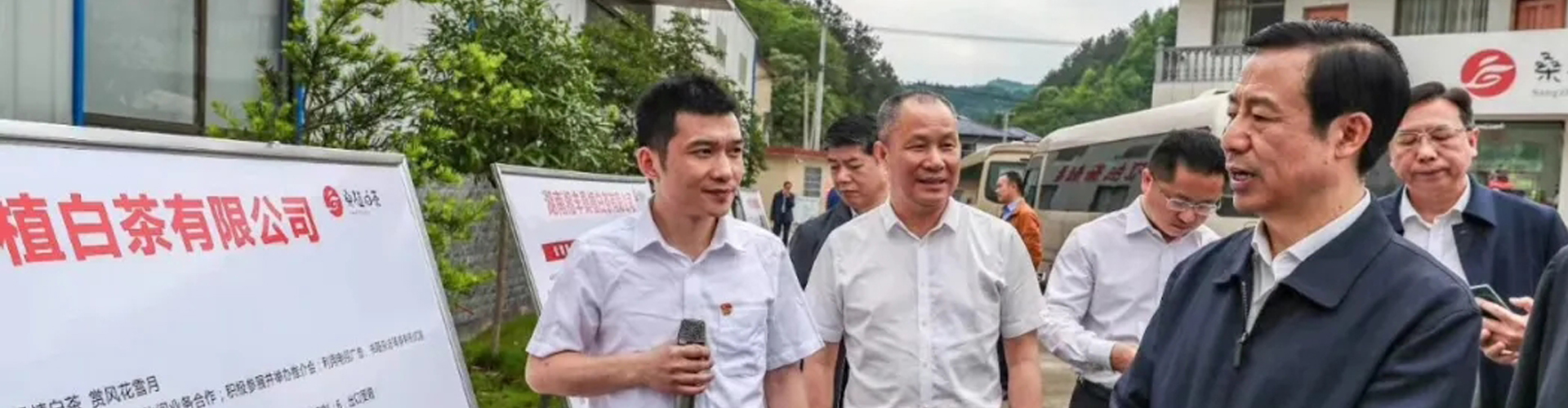 湖南省委副书记、省长许达哲视察乐动体育在线_乐动(中国)桑植白茶公司