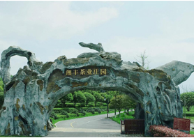 乐动体育在线_乐动(中国)茶业获评湖南农业优势特色产业30强企业 乐动体育在线_乐动(中国)茶业获评湖南农业优势特色产业30强企业