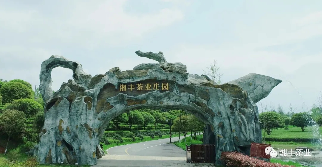 640.webp.jpg 640.webp.jpg