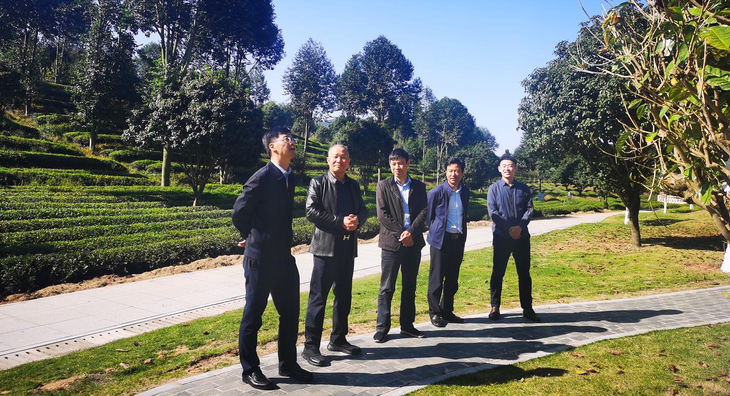 微信截图_20201111163616.jpg 微信截图_20201111163616.jpg