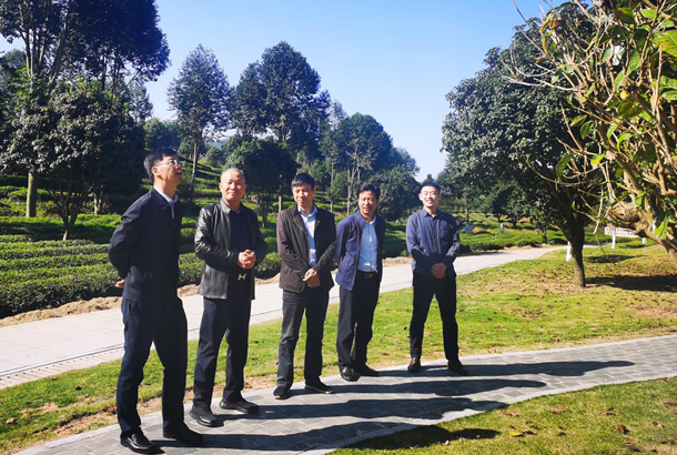 农业部发展规划司副司长赵晓明一行调研乐动体育在线_乐动(中国)
农业部发展规划司副司长赵晓明一行调研乐动体育在线_乐动(中国)