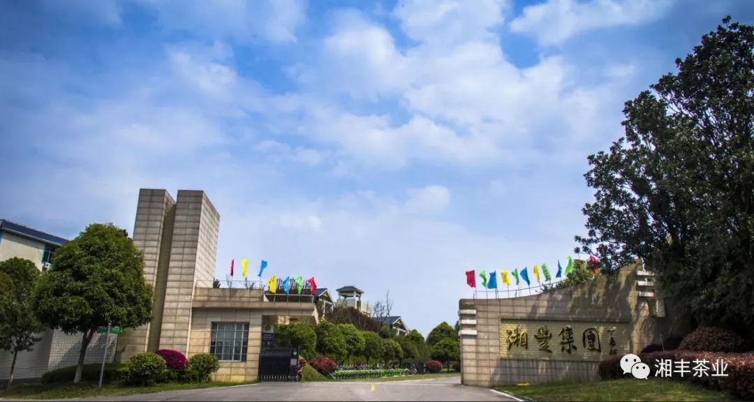 微信图片_202011191054548.jpg 微信图片_202011191054548.jpg