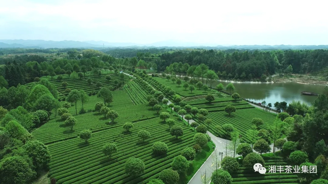 微信图片_2020111910545412.jpg 微信图片_2020111910545412.jpg