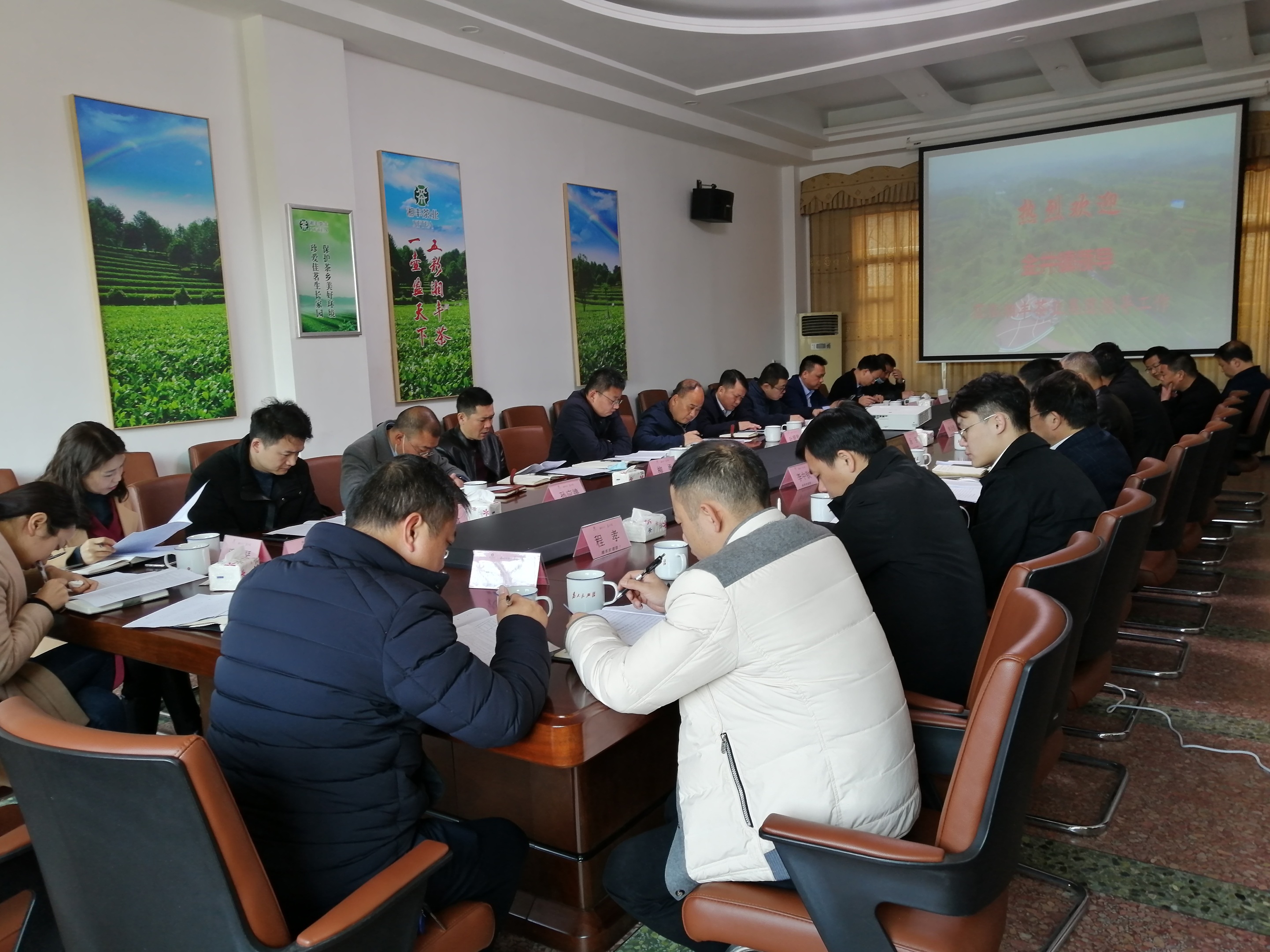 创建金井绿茶小镇,全面推进乡村振兴 创建金井绿茶小镇,全面推进乡村振兴