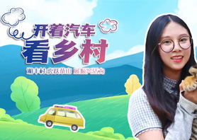 开着汽车看乡村 |乐动体育在线_乐动(中国)村：虎跃茶山 展振兴活力