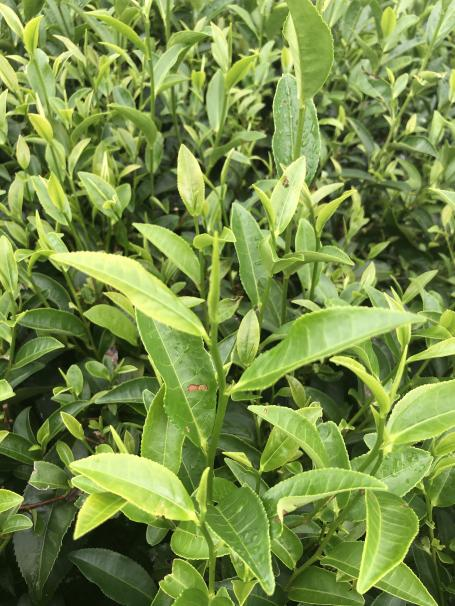 乐动体育在线_乐动(中国)1号