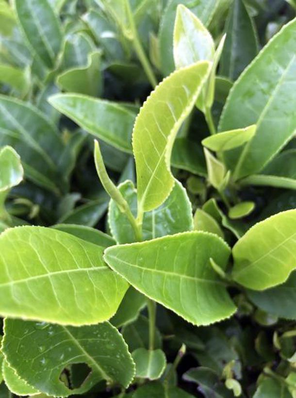 乐动体育在线_乐动(中国)2号