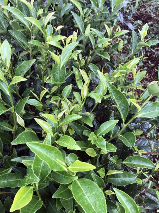 乐动体育在线_乐动(中国)3号