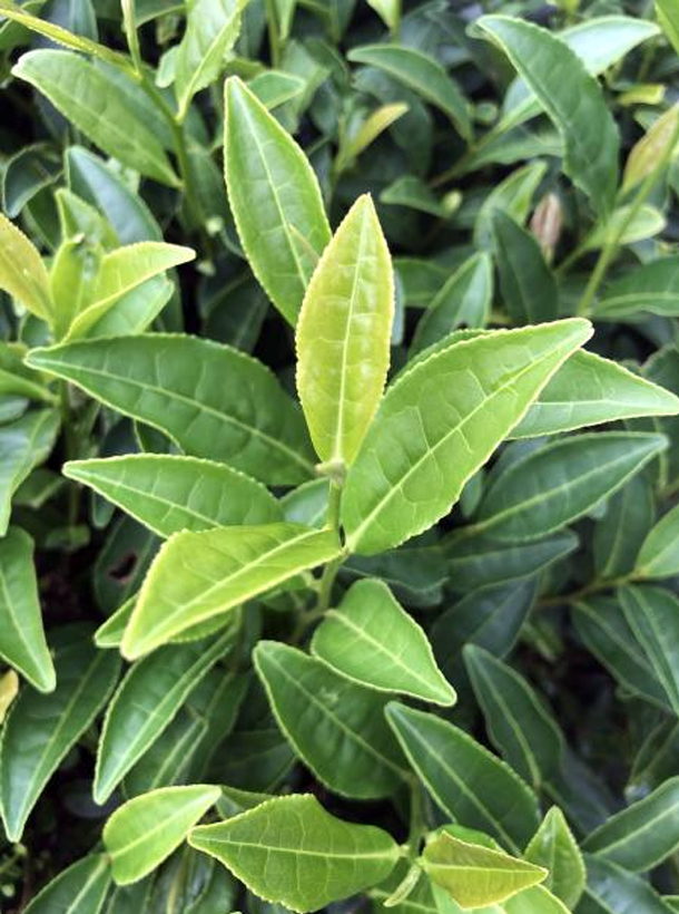 乐动体育在线_乐动(中国)4号