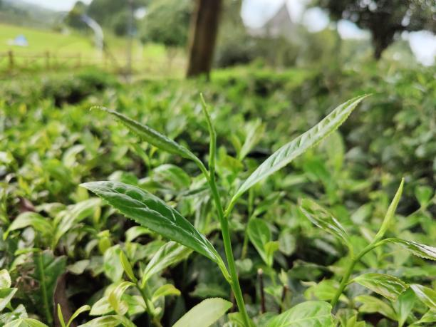 乐动体育在线_乐动(中国)7号(81-1-82) 乐动体育在线_乐动(中国)7号(81-1-82)