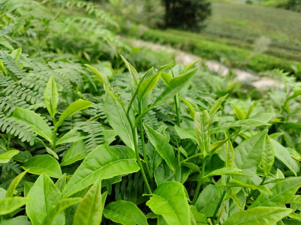 乐动体育在线_乐动(中国)10号（80-80-18）