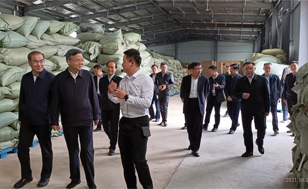 湖南省委常委、政法委书记李殿勋调研湖南乐动体育在线_乐动(中国)桑植白茶有限公司