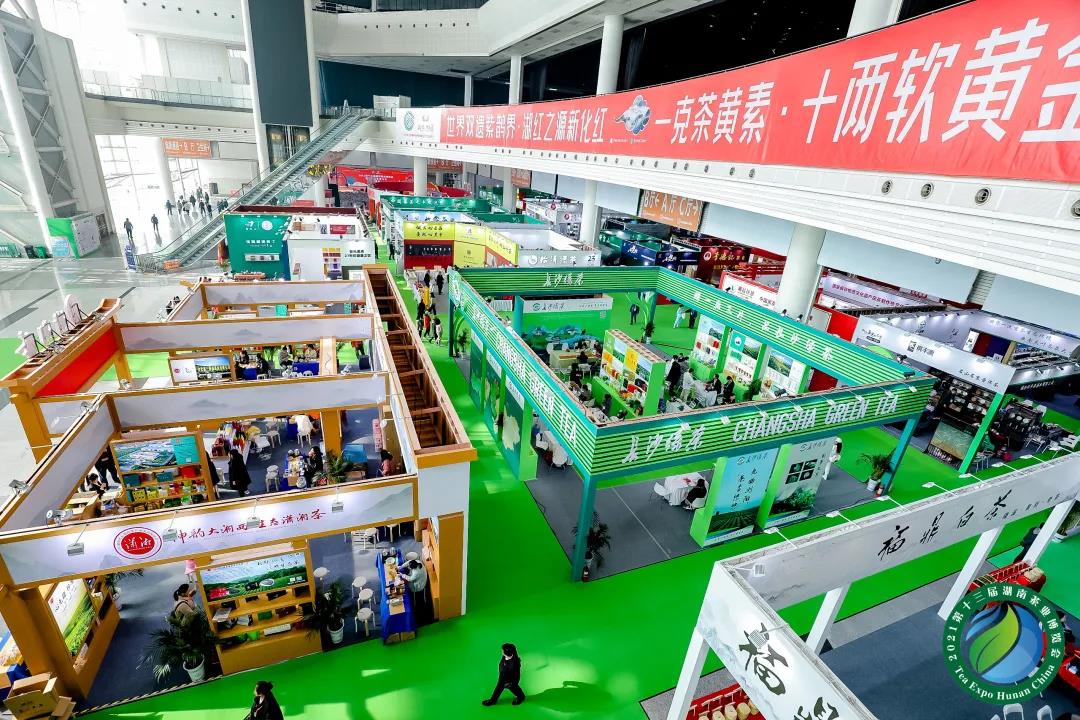 参展展团.jpg 参展展团.jpg