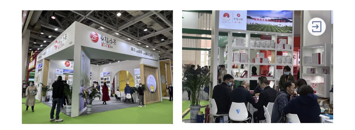 桑植白茶展区、乐动体育在线_乐动(中国)桑植白茶展位.jpg 桑植白茶展区、乐动体育在线_乐动(中国)桑植白茶展位.jpg