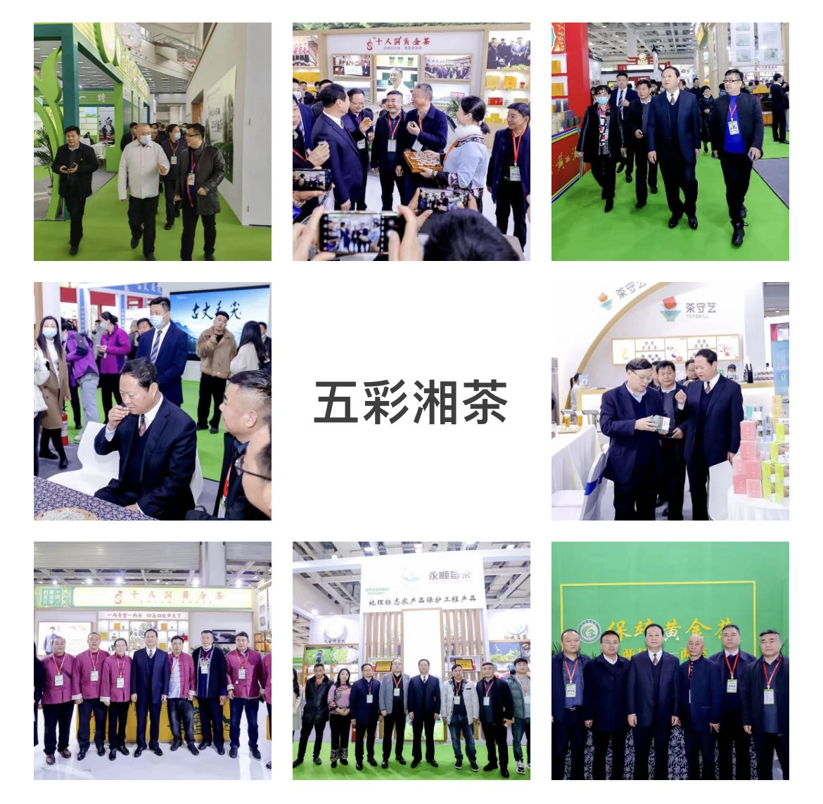 五彩湘茶.jpg 五彩湘茶.jpg