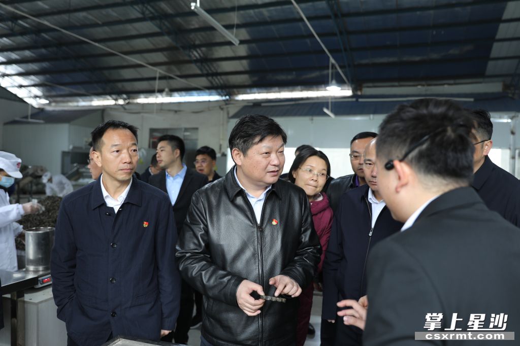付旭明在乐动体育在线_乐动(中国)桑植白茶洪家关工厂调研产业发展情况。.jpg 付旭明在乐动体育在线_乐动(中国)桑植白茶洪家关工厂调研产业发展情况。.jpg