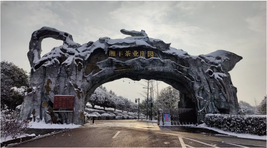 乐动体育在线_乐动(中国)茶业庄园.png 乐动体育在线_乐动(中国)茶业庄园.png