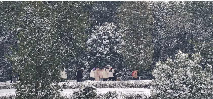 观赏雪景.png 观赏雪景.png