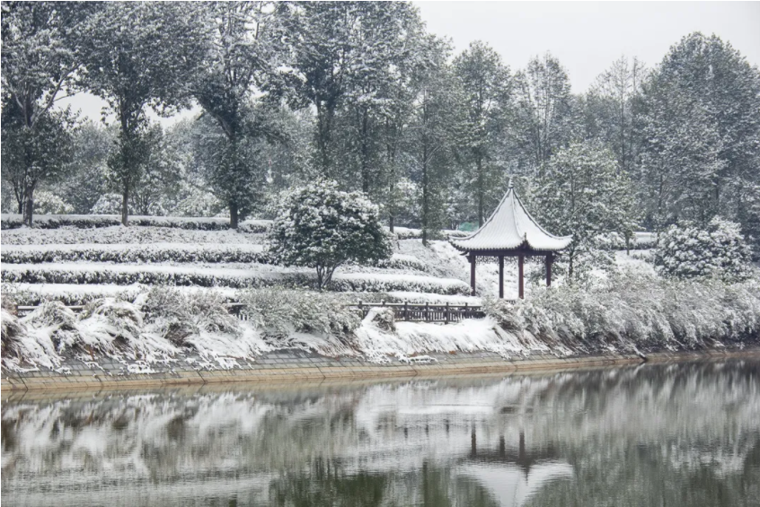 茶园山水.png 茶园山水.png