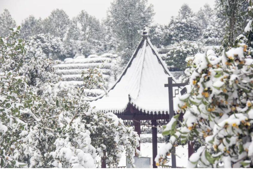 亭子.png 亭子.png