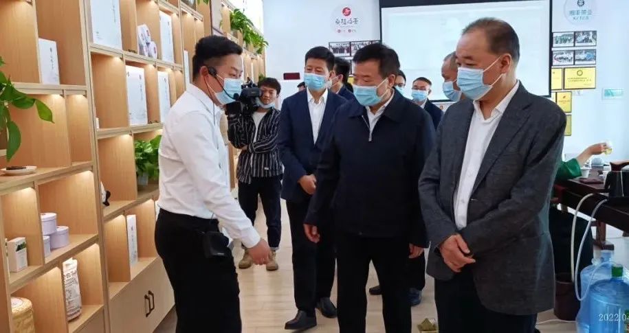 湖南省副省长陈飞带队考察调研乐动体育在线_乐动(中国)桑植白茶公司 湖南省副省长陈飞带队考察调研乐动体育在线_乐动(中国)桑植白茶公司