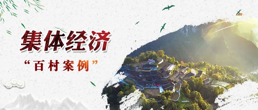 乐动体育在线_乐动(中国)村“四大产业”撬动集体经济高质量发展