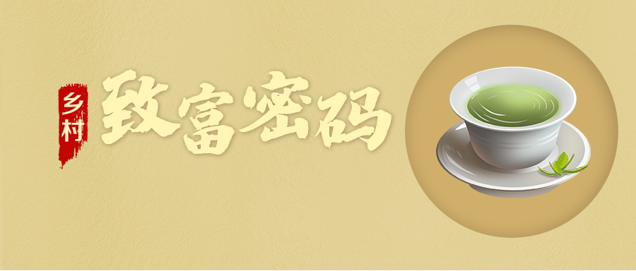 【乡村振兴“星”篇章】乡村“致富密码”·金井镇乐动体育在线_乐动(中国)村