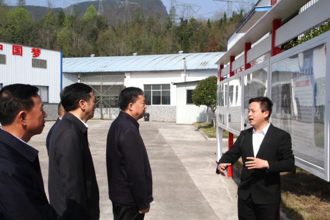 省政协党组书记、主席毛万春调研湖南乐动体育在线_乐动(中国)桑植白茶有限公司 省政协党组书记、主席毛万春调研湖南乐动体育在线_乐动(中国)桑植白茶有限公司