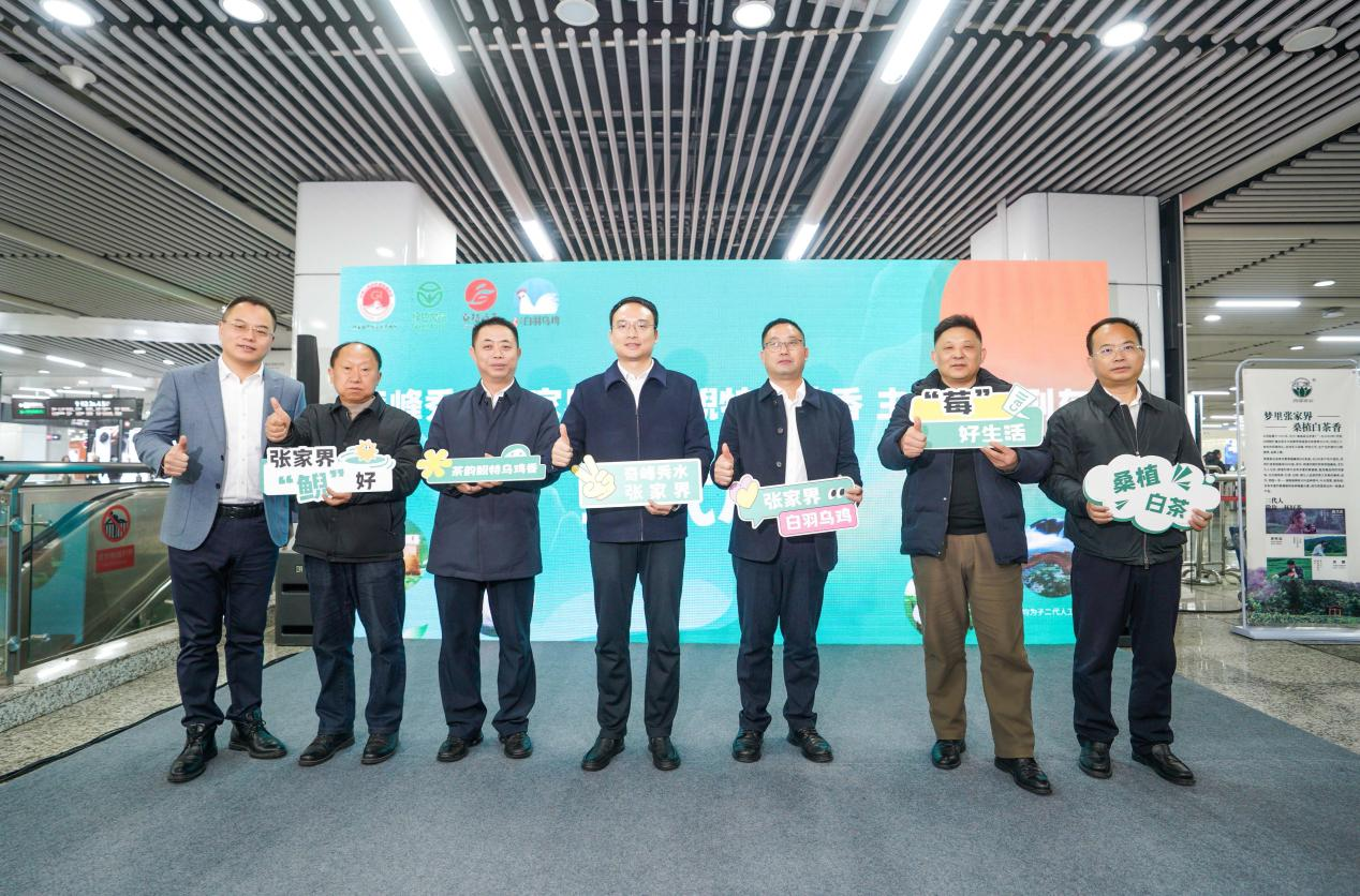 图11片1.png 图11片1.png