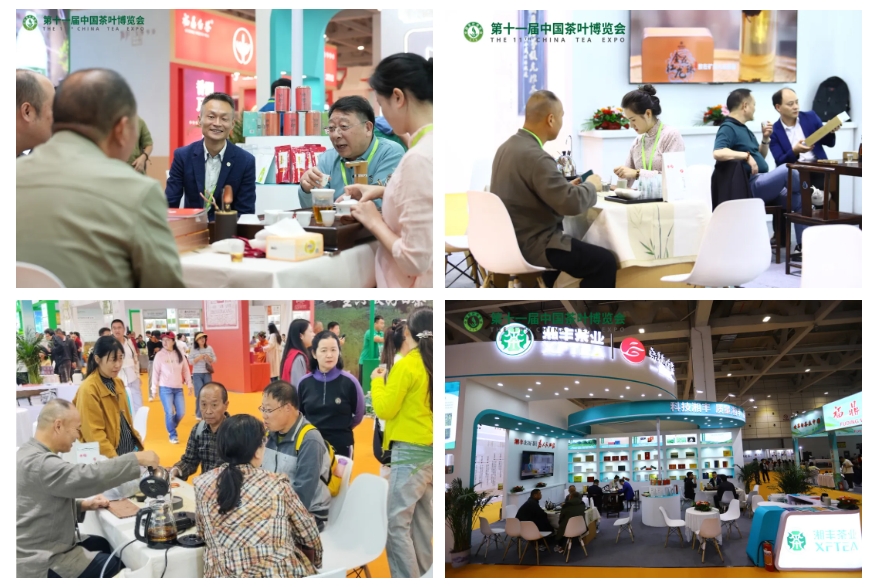 微信截图_20241012171301.png 微信截图_20241012171301.png