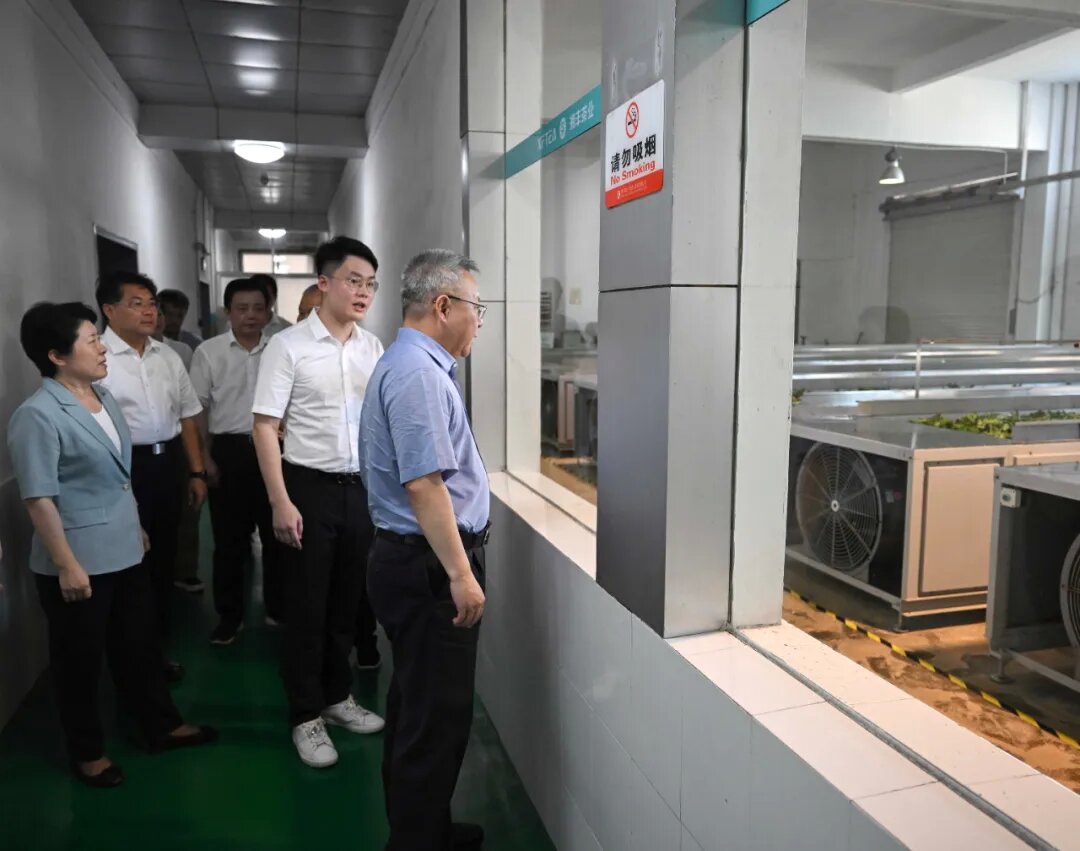 沈晓明调研绿色农产品及食品加工产业发展 沈晓明调研绿色农产品及食品加工产业发展