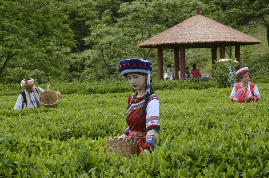 图片1.png 图片1.png