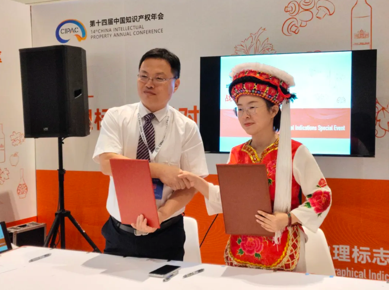 桑植白茶与海中优选达成战略合作 桑植白茶与海中优选达成战略合作