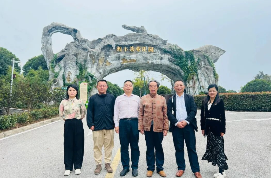 湖南省茶文化研究会会长肖涛一行调研乐动体育在线_乐动(中国)
共促茶文化传承与产业创新 湖南省茶文化研究会会长肖涛一行调研乐动体育在线_乐动(中国)
共促茶文化传承与产业创新