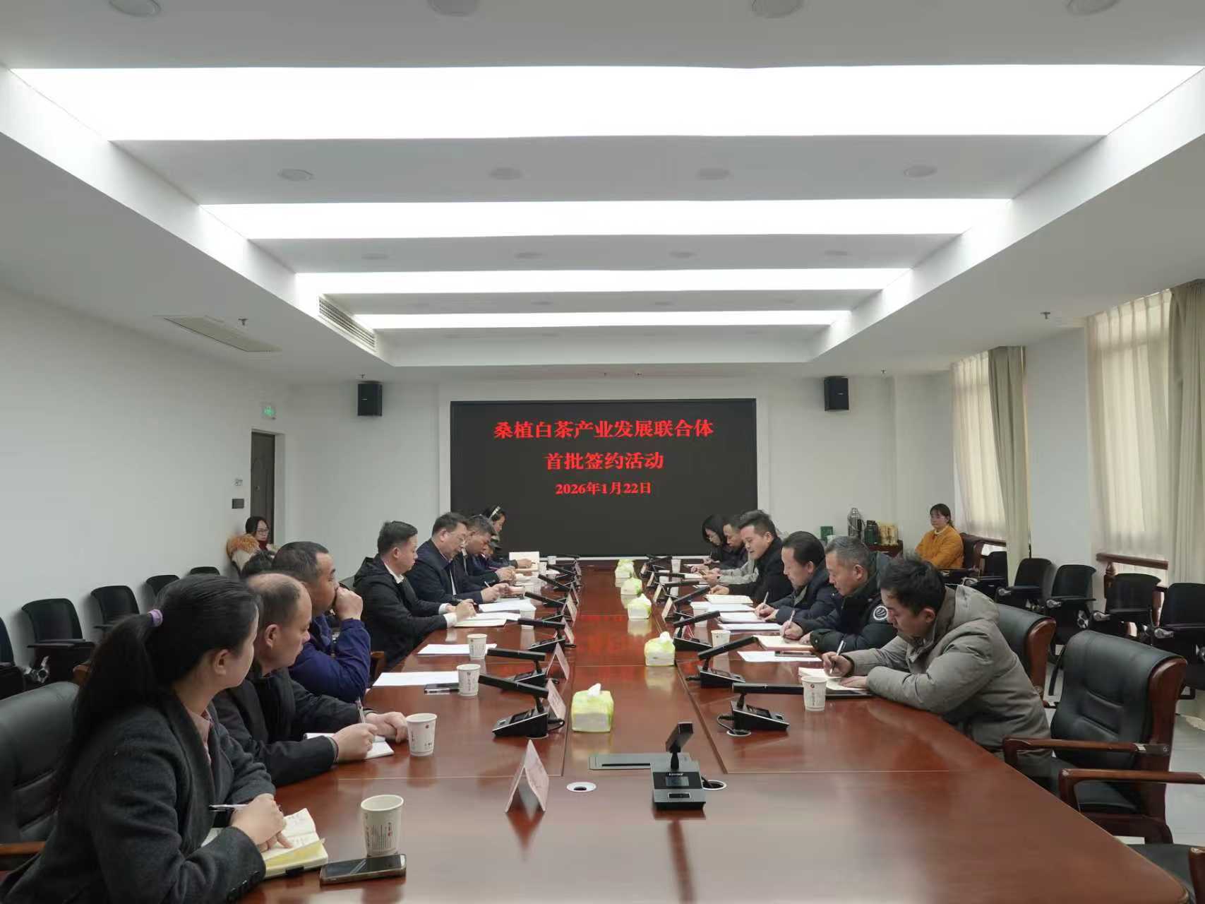 乐动体育在线_乐动(中国)桑植白茶公司牵头组建桑植白茶产业发展联合体 首批签约开启协同共赢新征程