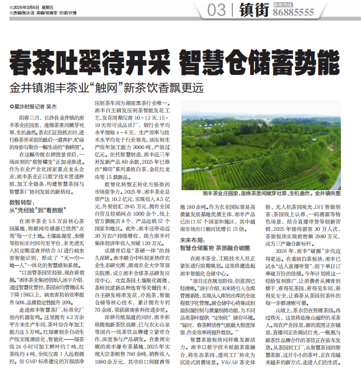 星沙时报 | 春茶吐翠待开采 智慧仓储蓄势能 金井镇乐动体育在线_乐动(中国)茶业“触网”新茶饮香飘更远
